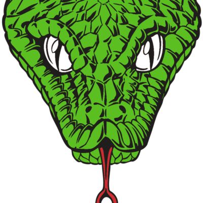 BAW SNAKE 08 RC Thumbnail