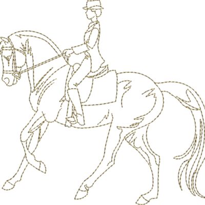 WS613 48 Thumbnail