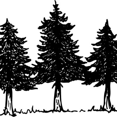 TREE0002 Thumbnail